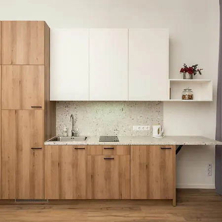 Air 202 Apartment Vilnius